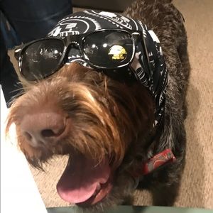 Meet your Posher, Jess